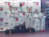 V tura Śląskiej Ligi Judo (2022) Koszęcin