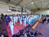 V tura Śląskiej Ligi Judo (2022) Koszęcin