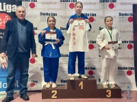 V tura Śląskiej Ligi Judo (2022) Koszęcin