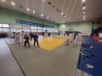 Ogólnopolski Mikołajkowy Turniej Judo Dzieci (2022) Gliwice