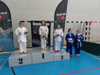 I tura Śląskiej Ligi Judo (2023) Ożarowice