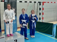 I tura Śląskiej Ligi Judo (2023) Ożarowice