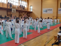 II tura Śląskiej Ligi Judo (2023) Piekary Śląskie
