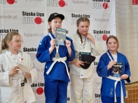 II tura Śląskiej Ligi Judo (2023) Piekary Śląskie