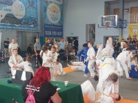 III tura Śląskiej Ligi Judo (2023) Radzionków
