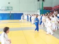 Ogólnopolski Turniej Judo z okazji Dnia Dziecka (2023) Gliwice