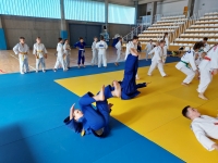 Silesian Open Kata - Puchar Polski (2023) Tarnowskie Góry