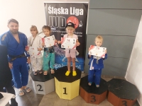 IV tura Śląskiej Ligi Judo (2023) Katowice