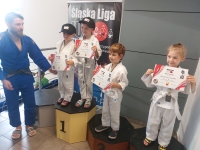 IV tura Śląskiej Ligi Judo (2023) Katowice