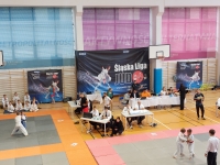 IV tura Śląskiej Ligi Judo (2023) Katowice