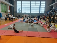 IV tura Śląskiej Ligi Judo (2023) Katowice