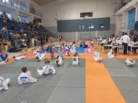 IV tura Śląskiej Ligi Judo (2023) Katowice
