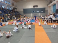 IV tura Śląskiej Ligi Judo (2023) Katowice