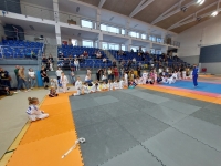 IV tura Śląskiej Ligi Judo (2023) Katowice