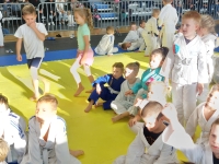 V tura Śląskiej Ligi Judo (2023) Bytom