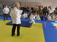 V tura Śląskiej Ligi Judo (2023) Bytom