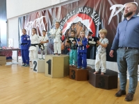 V tura Śląskiej Ligi Judo (2023) Bytom