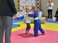 VI tura Śląskiej Ligi Judo (2023) Koszęcin