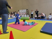 VI tura Śląskiej Ligi Judo (2023) Koszęcin