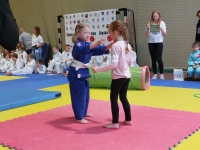 VI tura Śląskiej Ligi Judo (2023) Koszęcin