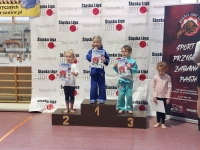 VI tura Śląskiej Ligi Judo (2023) Koszęcin