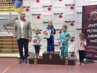 VI tura Śląskiej Ligi Judo (2023) Koszęcin