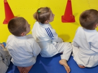 VI tura Śląskiej Ligi Judo (2023) Koszęcin