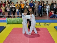 VI tura Śląskiej Ligi Judo (2023) Koszęcin