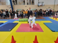 VI tura Śląskiej Ligi Judo (2023) Koszęcin