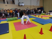 VI tura Śląskiej Ligi Judo (2023) Koszęcin