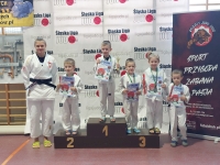 VI tura Śląskiej Ligi Judo (2023) Koszęcin
