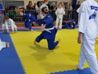 VI tura Śląskiej Ligi Judo (2023) Koszęcin