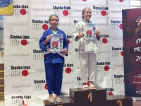 VI tura Śląskiej Ligi Judo (2023) Koszęcin