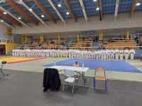 Mistrzostwa Śląska Kata (2025) Pawłowice