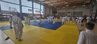 Puchar Polski Judo Kata (2025) Gdańsk