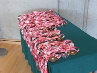 Silesian Open Judo Kata - Puchar Polski (2025) Tarnowskie Góry