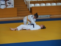 Silesian Open Judo Kata - Puchar Polski (2025) Tarnowskie Góry