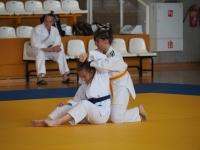 Silesian Open Judo Kata - Puchar Polski (2025) Tarnowskie Góry