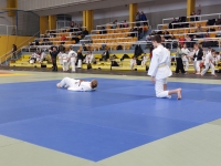 Mistrzostwa Śląska Kata (2026) Pawłowice