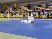 Mistrzostwa Śląska Kata (2026) Pawłowice