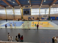 Mistrzostwa Śląska Kata (2026) Pawłowice