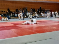 Puchar Polski Judo Kata (2026) Gdańsk