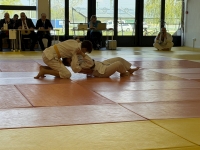 Otwarte Międzynarodowe Mistrzostwa Węgier Judo Kata (2026) Cegléd (Węgry)