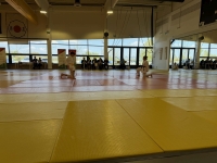 Otwarte Międzynarodowe Mistrzostwa Węgier Judo Kata (2026) Cegléd (Węgry)