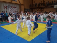 II tura Śląskiej Ligi Judo (2019) Piekary Śląskie