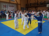 II tura Śląskiej Ligi Judo (2019) Piekary Śląskie