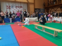 II tura Śląskiej Ligi Judo (2019) Piekary Śląskie