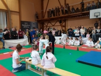 II tura Śląskiej Ligi Judo (2019) Piekary Śląskie