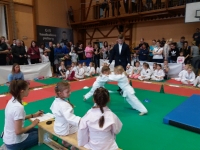 II tura Śląskiej Ligi Judo (2019) Piekary Śląskie