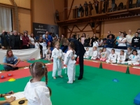 II tura Śląskiej Ligi Judo (2019) Piekary Śląskie